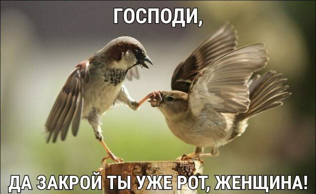 господи