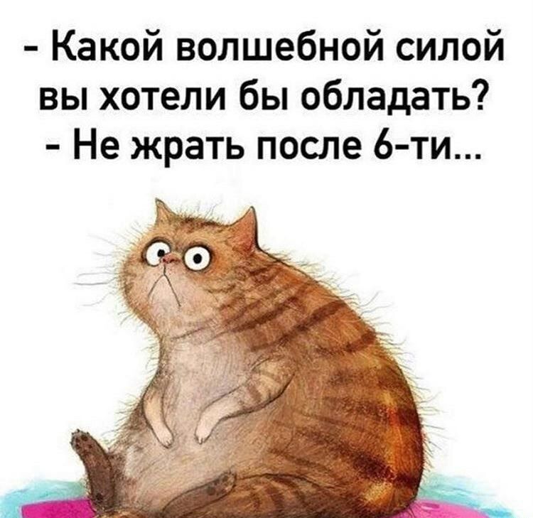 Какой волшебной силой вы хотели бы обладать Не жрать после 6 ти