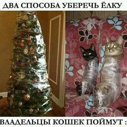 А А СПОСОБА УБЕРЕЧЬ ЁАКУ
