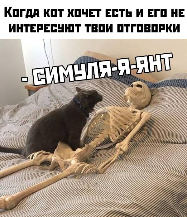 КПГдд КПТ ХПЧЕТ ЕСТЬ И ЕГП НЕ ИНТЕРЕПНШТ ТЕПИ ПТГПВПРКИ 1