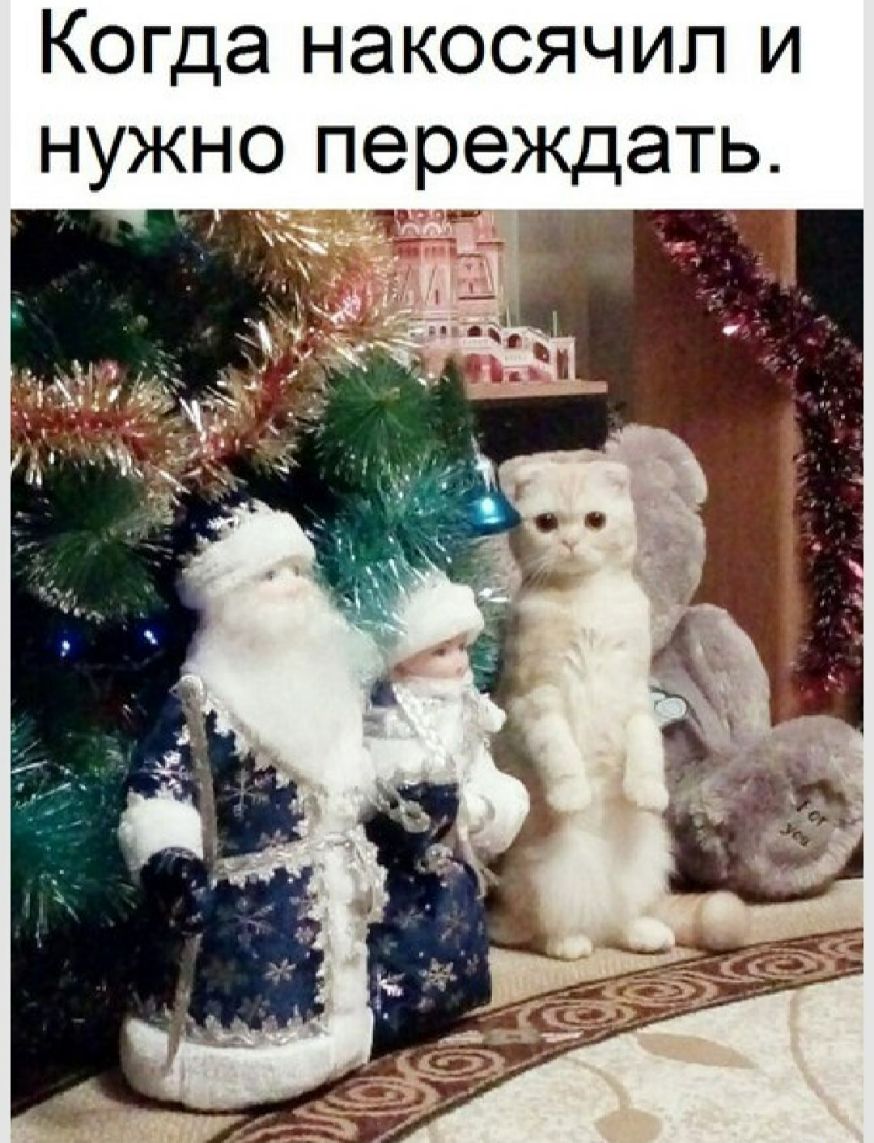 Когда накосячил и нужно переждать