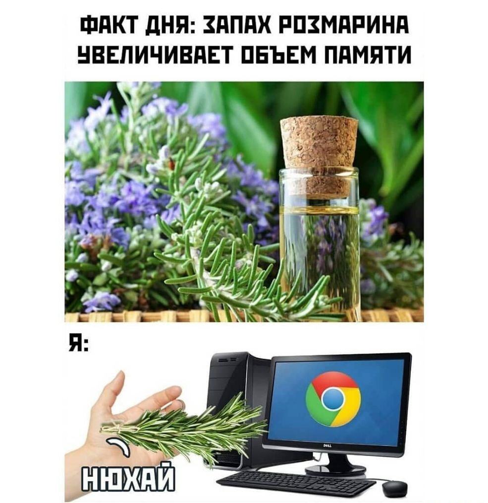 ФдКТ дНП ЗПППХ РПЗМПРИНД