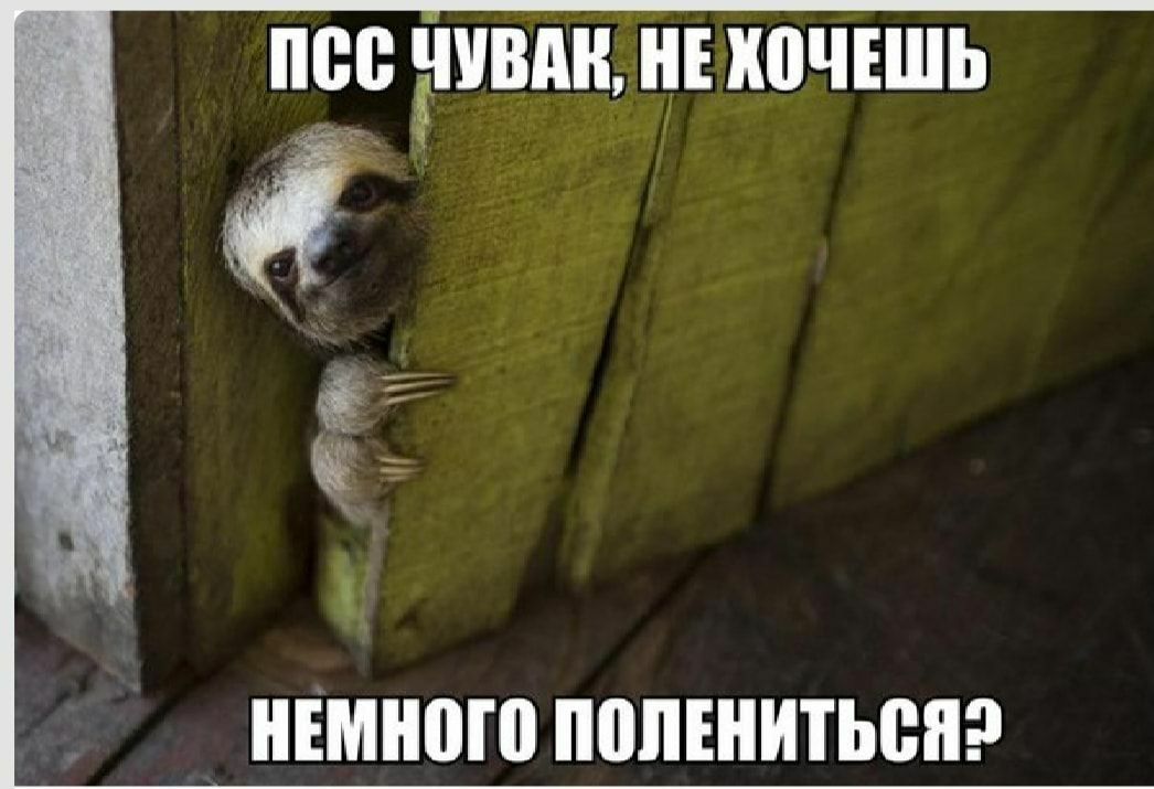 НРБ ШВПН НЕ КВЧЕШЬ нЕмнпю ППЛШИТЬЕПЕ