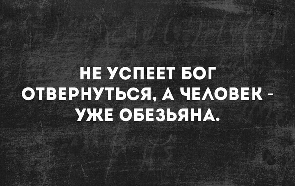 НЕ УСПЕЕТ БОГ ОТВЕРНУТЬСЯ А ЧЕАОВЕК УЖЕ ОБЕЗЬЯНА