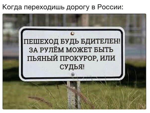 Когда переходишь дорогу в России и ПЕШЕХОД БУДЬ БДИТЕЛЕН ЗА РУПЁМ МОЖЕТ БЬПЬ ПЬЯНЫЙ ПРОКУРОР ИЛИ СУДЬЯ