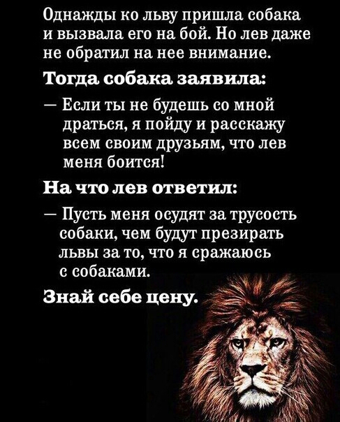 Однажды ко льву пришла собака и вызвала его на бой Но лев даже не обратил на нее внимание Тогда собака заявила Если ты не будешь со мной драться я пойду и расскажу всем своим друзьям что лен меня боится На что лев ответил Пусть меня осудят за трусость собаки чем будут презирать львы за то что я еражаюсь собаками Знай себе цену да жид