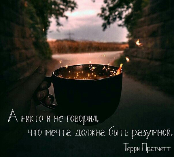 А НИКА0 И не ГОВОРИі Ч0 мечта ДОЛЖНЫ бЫТЬ РдЗУМНОЙ Терри Пратчетт
