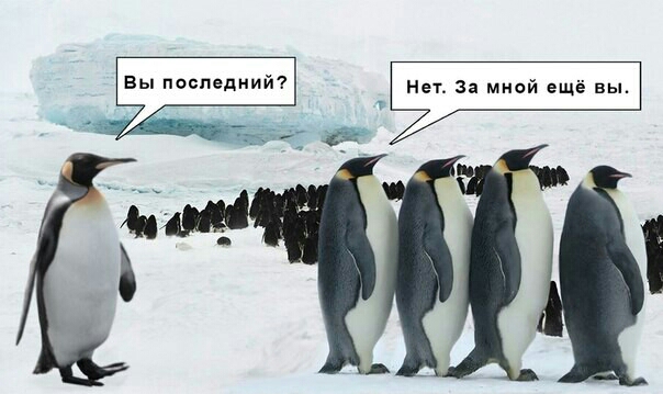 ппппппппппппп