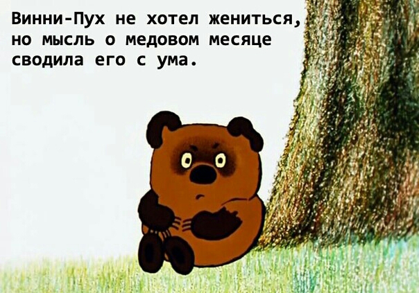 Винни Пух не хотел жениться но мысль о медовом месяце сводила его с ума