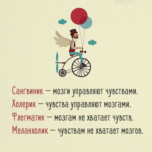 Сангвиник мозги управляют чувствами Холерик чувства управляют мозгами Рлегматик мозгам не хватает чувств Меланхолик чувствам не хватает мозгов