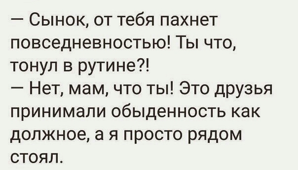 Сынок от тебя пахнет повседневностью Ты что тонул в рутине Нет мам что ты Это друзья принимали обыденность как должное а я просто рядом стоял