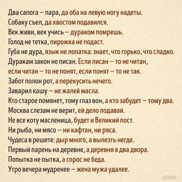 Два сапога пара да оба на левую ногу надеты Собаку съелда хвостом подавился Век живи век учись дураком помрешь Голод не тетка пирожка не подаст Губа не дура язык не лопатка знает что горько что сладко Дуракам закон не писан Если писан то не читан если читам то не понят если понят то не так Забот полон рот а перекусить нечего Заварил кашу не жалей масла Кто старое помянет тому глаз вон а кто забуде
