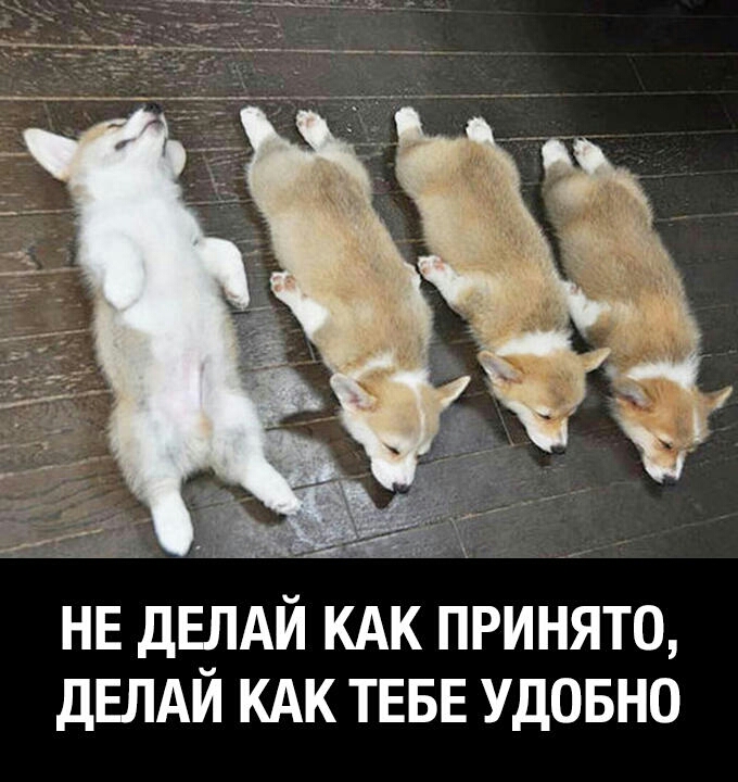 х НЕ дЕПАЙ КАК ПРИНЯТО ДЕЛАЙ КАК ТЕБЕ УДОБНО