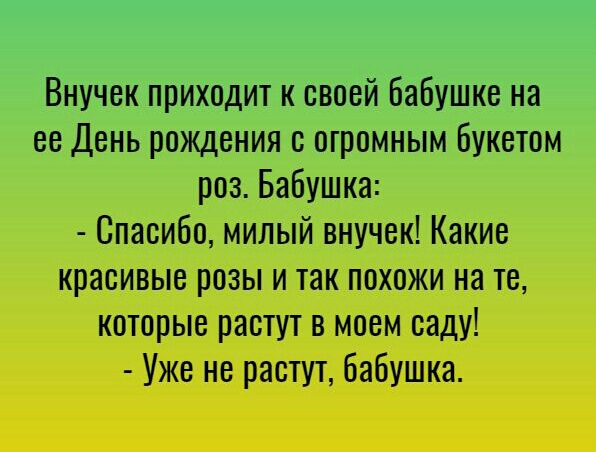 Внучек приходит к своей бабушке на ее День рождения с огромным букетом роз Бабушка Спасибо милый внучек Какие красивые розы и так похожи на те которые растут в моем саду Уже не растут бабушка