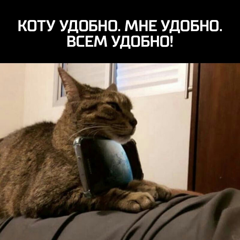 КОТУ УДОБНО МНЕ УДОБНО ВСЕМ УДОБНО