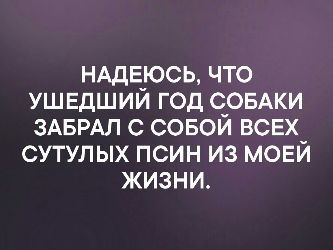 НАДЕЮСЬ что УШЕДШИЙ год СОБАКИ ЗАБРАЛ с совой всвх сутулых псин из мовй жизни