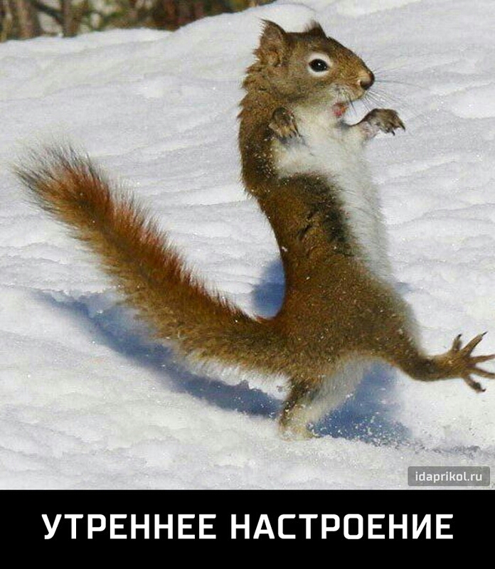 УТРЕННЕЕ НАСТРОЕНИЕ