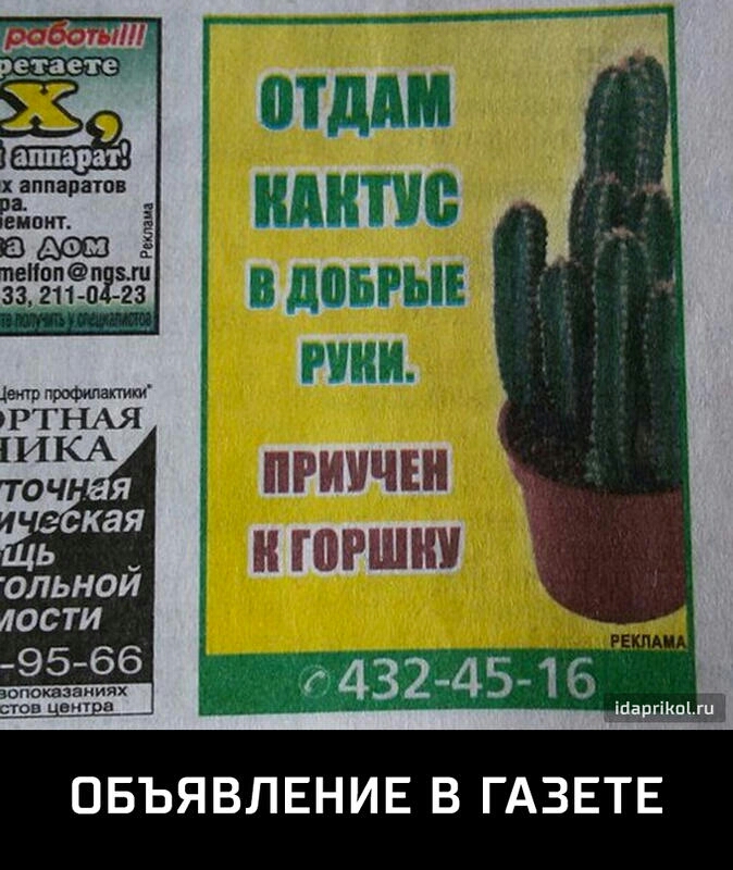 ольной дости опоквааииях топ ему а ОБЪЯВЛЕНИЕ В ГАЗЕТЕ