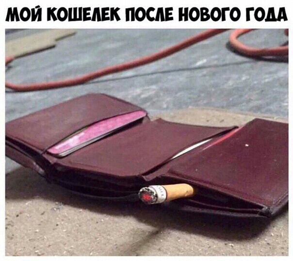 МОЙ КОШЕЛЕК ПОСЛЕ НОВОГО ГОДА