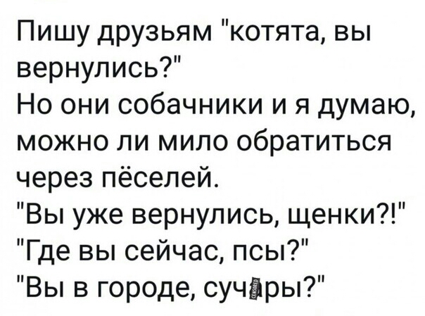 Пишу друзьям котята вы вернулись Но они собачники и я думаю можно ли мило обратиться через пёселей Вы уже вернулись щенки Где вы сейчас псы Вы в городе сучэры