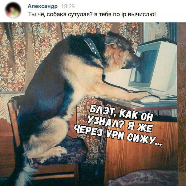 Александр Ты че собака сутупая7 тебя по р вычиспю