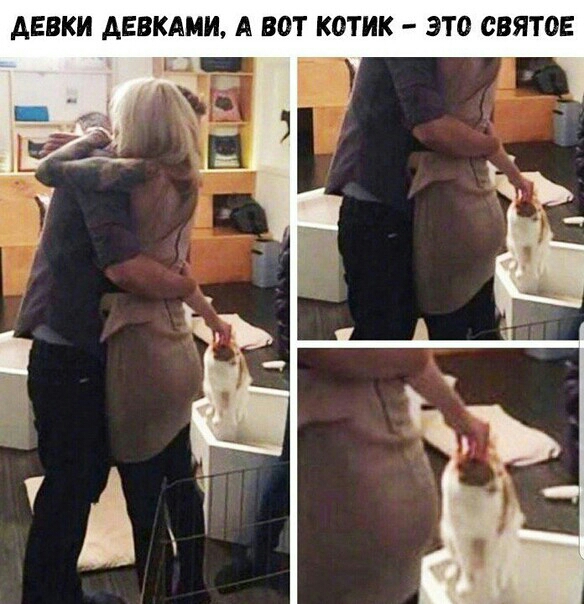 АЕВКИ АЕБКАМИ А ВОТ КОТИК ЭТО СВЯТОЕ