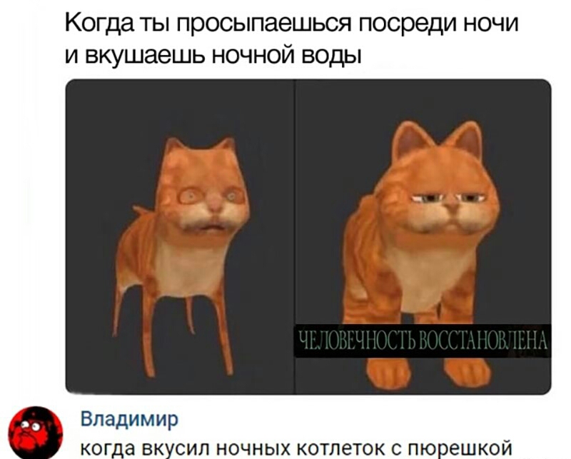 Когда ты просыпаешься посреди ночи и вкушаешь ночной воды Владимир а вк сил ночных котлеток с пюоешкой