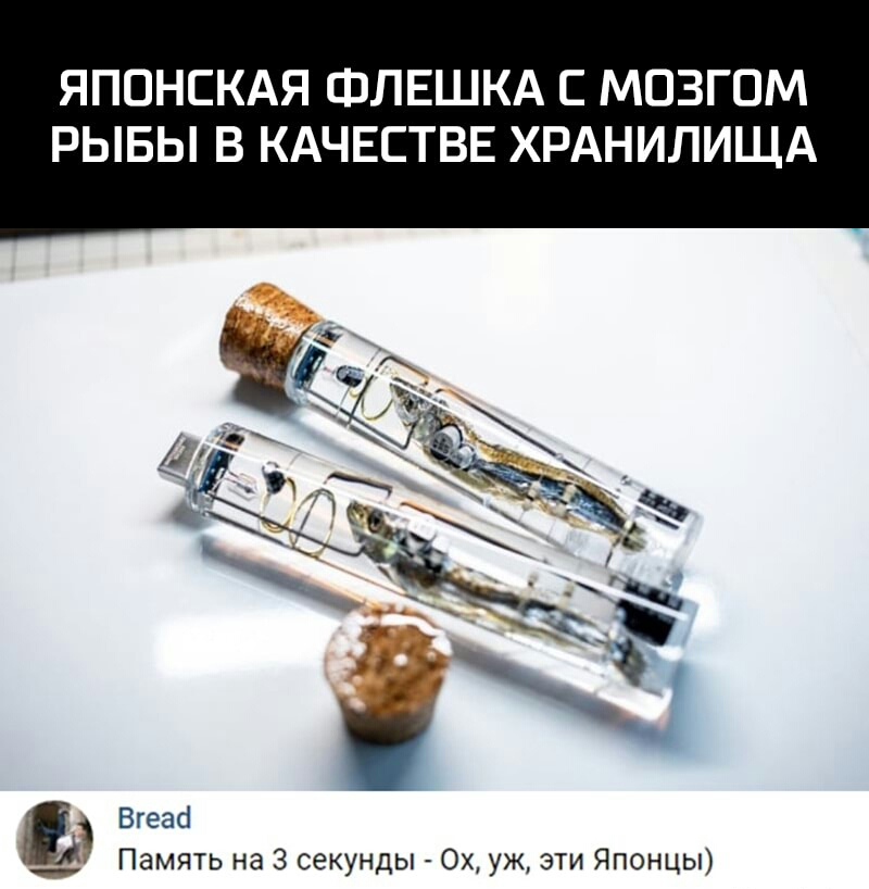 ЯПОНСКАЯ ФЛЕШКА С МОЗГОМ РЫБЫ В КАЧЕСТВЕ ХРАНИЛИЩА Вгеасі ___ Память на 3 секунды Ох уж эти Японцы