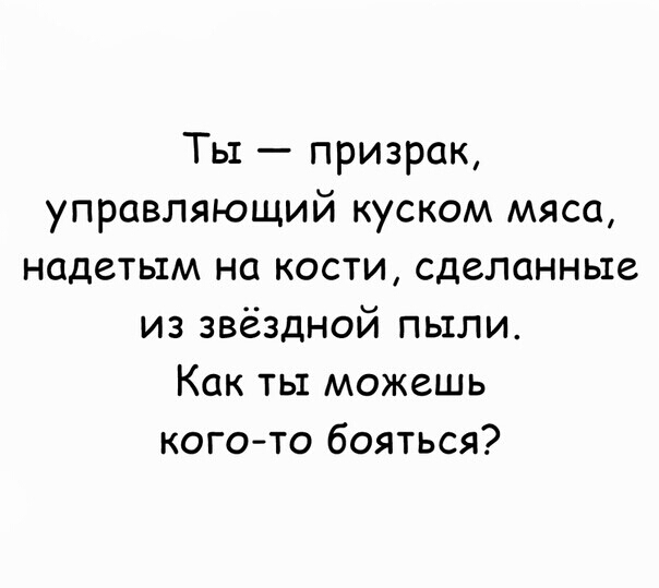 Ты призрак управляющий куском мяса надетым на кости сделанные из звёздной пыли Как ты можешь когото бояться