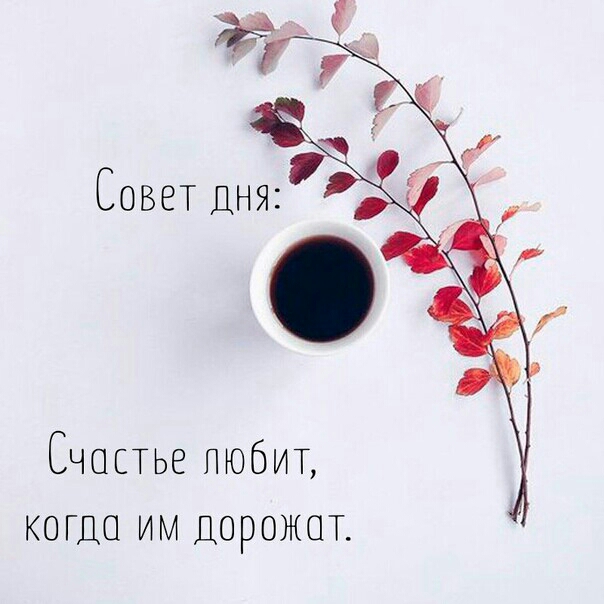 8 Счопье ПЮбИТ когда им ДОРОЖОТ Совет Дня