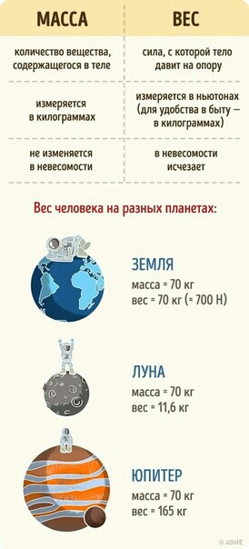 МАССА ВЕС кппичяннпшмшд киладипщюйшш ммм мм __ тигрица шпиц киппр ания и у Б 7 Ф пилигрима ш Ви шпики а разиых пламени ЗЕМЛЯ на п окгнппн ЛУНА масс 70 г 6 кг ЮПИТЕР макса т кг ш 165 кг