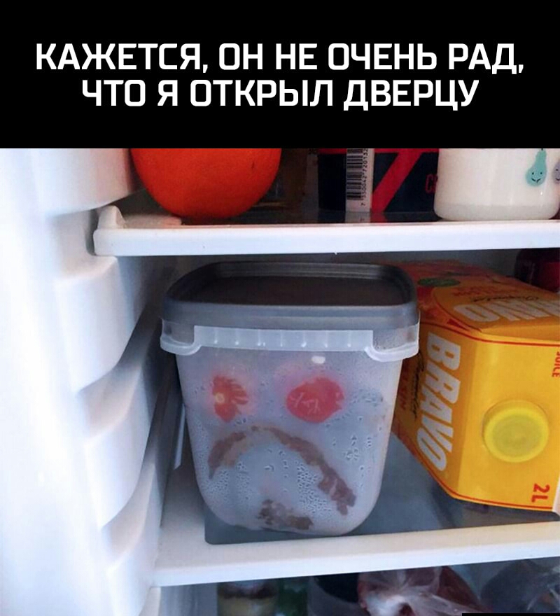 КАЖЕТСЯ ОН НЕ ОЧЕНЬ РАД ЧТО Я ОТКРЫЛ ДВЕРЦУ