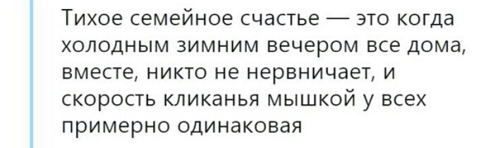 Тихое семейное счастье это когда холодным зимним вечером все дома вместе никто не нервничает и скорость кликанья мышкой у всех примерно одинаковая