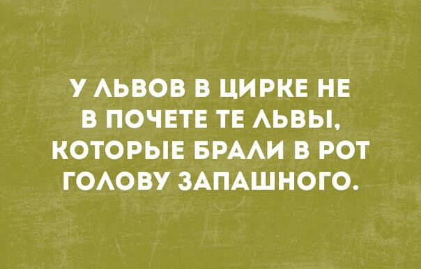УАЬВОВ В ЦИРКЕ НЕ В ПОЧЕТЕ ТЕ АЬВЫ КОТОРЫЕ БРААИ В РОТ ГОАОВУ ЗАПАШНОГО