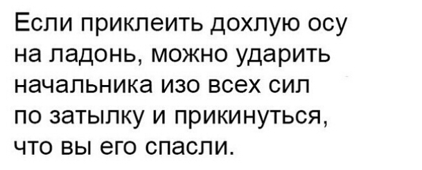 Если приклеить дохлую осу на ладонь можно ударить начальника изо всех сил по затылку и прикинуться что вы его спасли