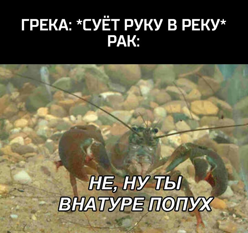 ГРЕКА СУЁТ РУКУ В РЕКУ ИрЁ ЁЁ ТЫ