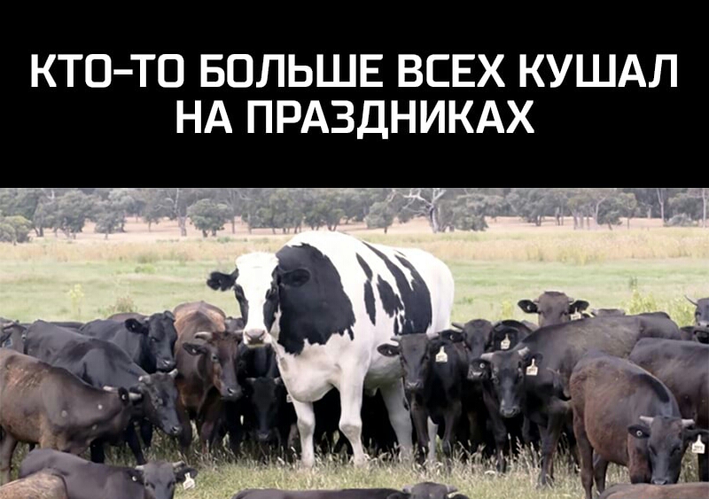КТО ТО БОЛЬШЕ ВСЕХ КУШАЛ НА ПРАЗДНИКАХ