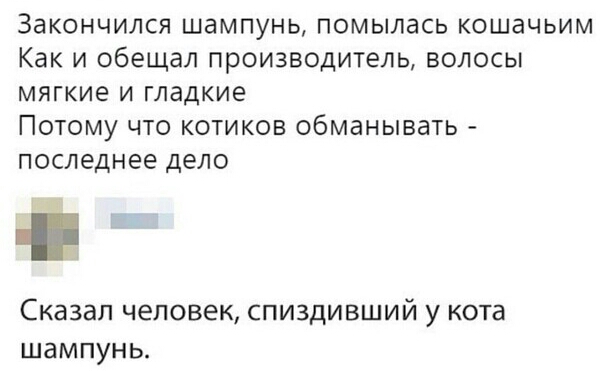ЗЭКОНЧИЛСЯ ШдМПУНЬ ПОМЫЛдСЬ КОШдЧЬИМ Как И Обещал ПРОИЗВОДИТЕЛЬ ВОЛОСЫ МЯГКИЕ И Гладкие ПОТОМУ ЧТО КОТИКОВ обманывать ПОСЛЕДНЕЕ ДЕЛО Сказал человек спиздивший у кота шампунь