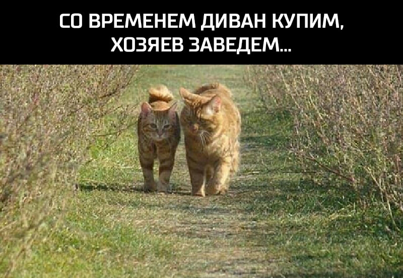 ЕП ВРЕМЕНЕМ ДИВАН КУПИМ ХПЗЯ ЕВ ЗАВЕДЕМ