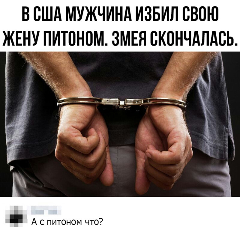 В США МУЖЧИНА ИЗБИЛ СВОЮ ЖЕНУ ПИТПНПМ ЗМЕЯ СКПНЧАЛАБЬ П А с питоном что
