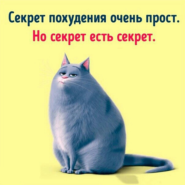 Секрет ПОХУДЕНИЯ очень ПРОСТ Но СЕКРЕТ ЕСТЬ ССКРОТ
