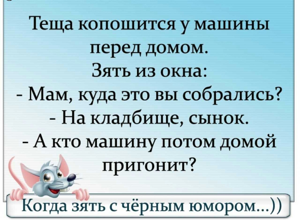 Теща копошится у машины перед домом Зять из окна Мам куда это вы собрались  На кладбище сынок А кто машину потом домой пригонит Когда зъіть с чёрным  юмором - выпуск №98666