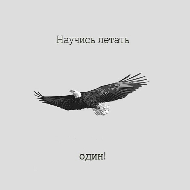 Научись летать