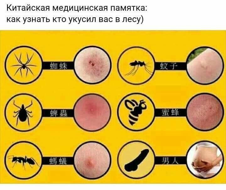 Китайская медицинская памятка как узнать кто укусил вас в лесу