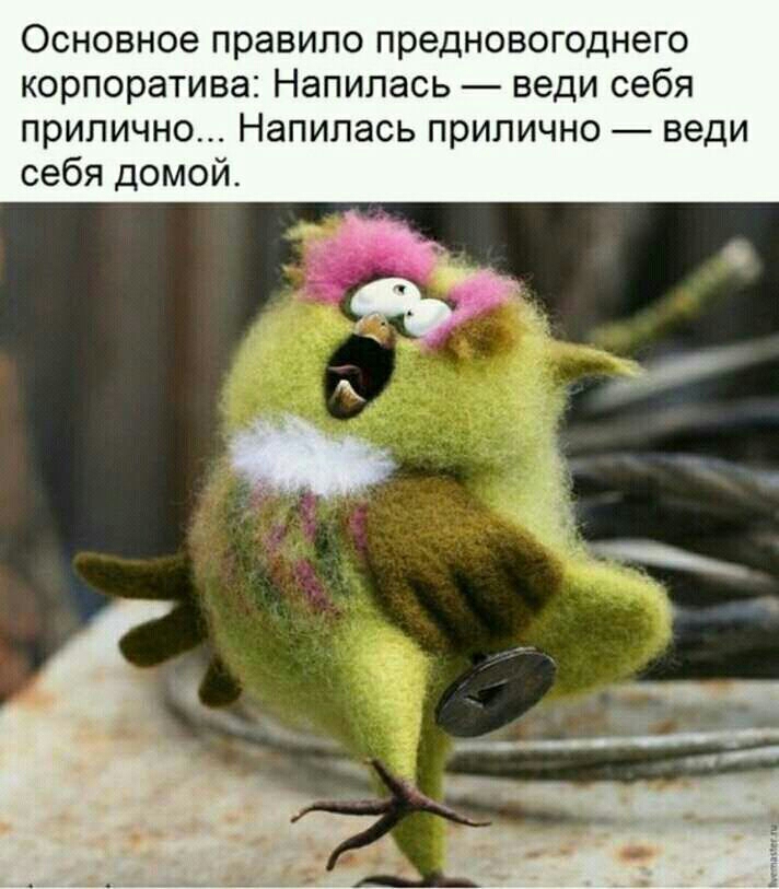 Основное правило предновогоднего корпоратива Напилась веди себя прилично Напилась прилично веди себя домой