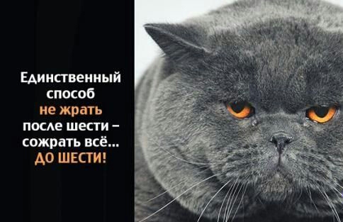 Единственный способ не жить после шести _ сожрать всё А0 ШЕСТИ