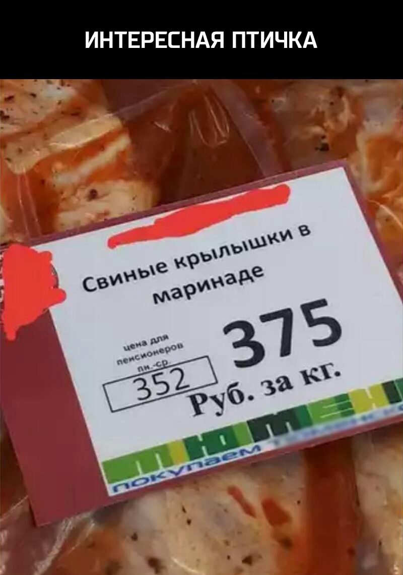 ИНТЕРЕСНАЯ ПТИЧКА