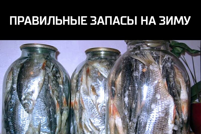 ПРАВИЛЬНЫЕ ЗАПАСЫ НА ЗИМУ
