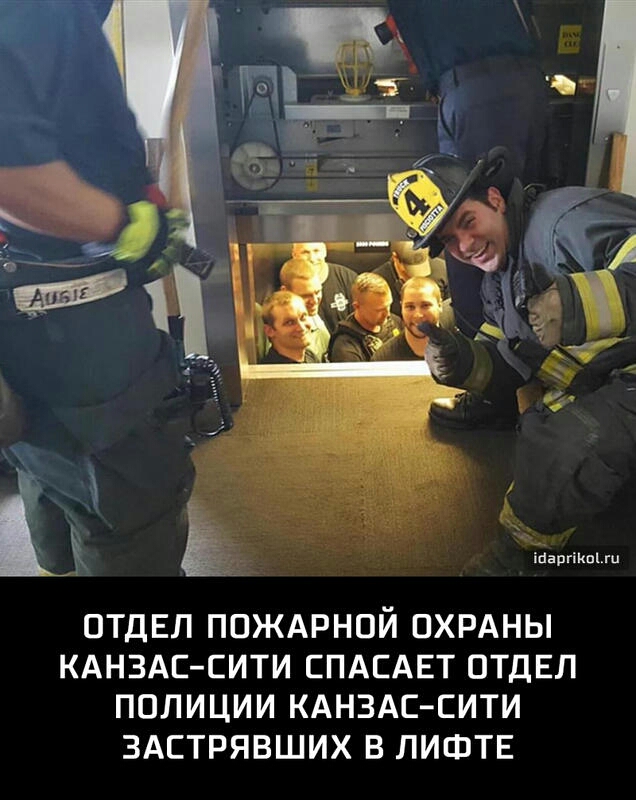 тараканы ОТДЕЛ ПОЖАРНОЙ ОХРАНЫ КАНЗАС ЕИТИ ЕПАЕАЕТ ОТДЕЛ ПОЛИЦИИ КАНЗАСЕИТИ ЗАЕТРЯВШИХ В ЛИФТЕ