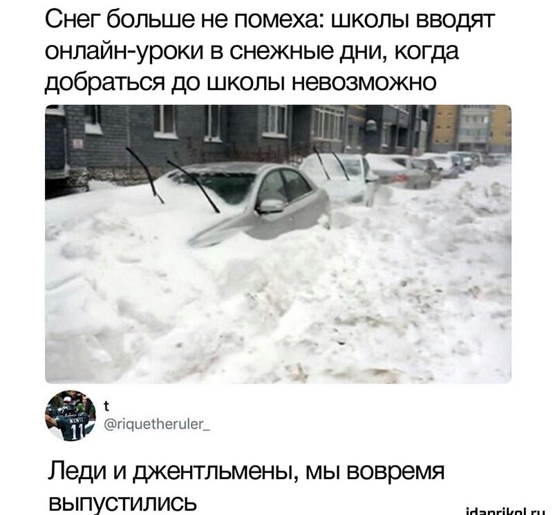Снег больше не помеха школы вводят онлайн уроки в снежные дни когда добраться до школы невозможно гіциетешіеь леди И ДК6НТЛЬМ6НЫ МЫ вовремя ВЫПУСТИЛИСЬ